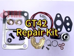 GT42 Reparatiekit
